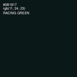 #0B1817 - Racing Green Color Image